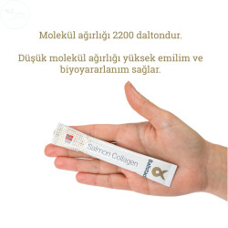 Ballstad Somon Kolajeni 32 Şase - 4