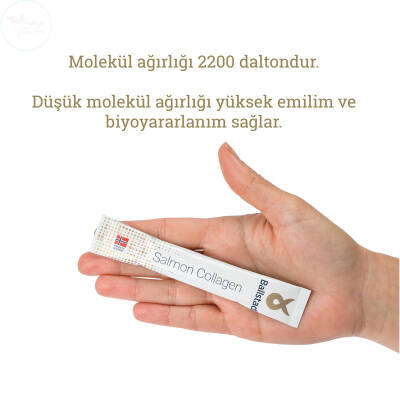 Ballstad Somon Kolajeni 32 Şase - 4