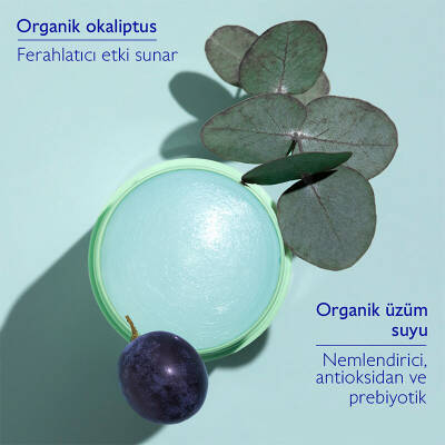 Caudalie Vinofresh Doğal Stick Deodorant 50 gr - 3