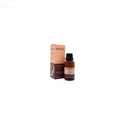 Minera Vital At Kestanesi Yağı 20 ml - 1