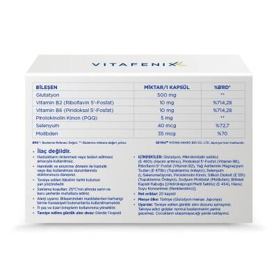Vitafenix Angard 20 Bitkisel Kapsül - 2